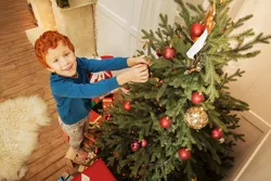 6 Produkte der besten Wahl  Künstlicher Weihnachtsbaum aus Fichte